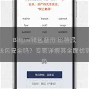 Bitpie钱包备份 比特派钱包安全吗？专家详解其全面优势