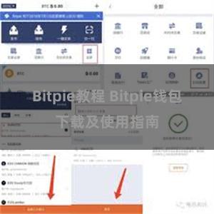 Bitpie教程 Bitpie钱包下载及使用指南