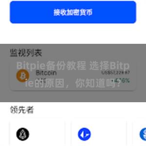 Bitpie备份教程 选择Bitpie的原因，你知道吗？