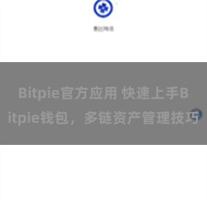 Bitpie官方应用 快速上手Bitpie钱包，多链资产管理技巧