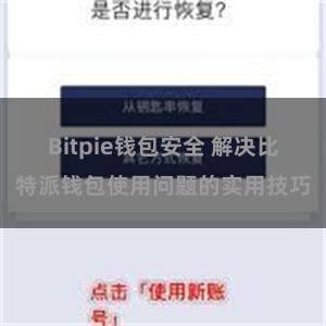 Bitpie钱包安全 解决比特派钱包使用问题的实用技巧