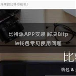 比特派APP安装 解决Bitpie钱包常见使用问题