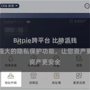 Bitpie跨平台 比特派钱包：强大的隐私保护功能，让您资产更安全