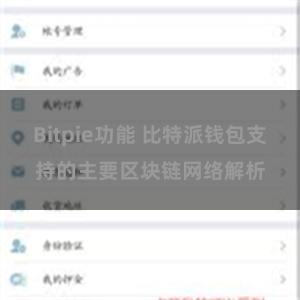 Bitpie功能 比特派钱包支持的主要区块链网络解析