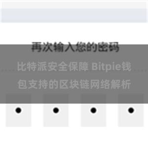 比特派安全保障 Bitpie钱包支持的区块链网络解析