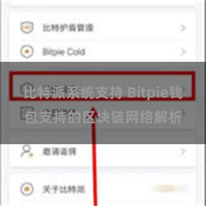 比特派系统支持 Bitpie钱包支持的区块链网络解析