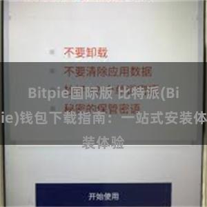 Bitpie国际版 比特派(Bitpie)钱包下载指南：一站式安装体验