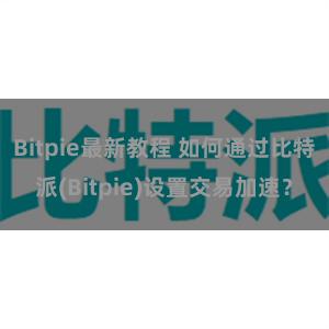 Bitpie最新教程 如何通过比特派(Bitpie)设置交易加速？