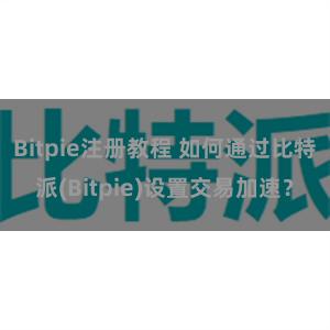 Bitpie注册教程 如何通过比特派(Bitpie)设置交易加速？