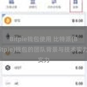 Bitpie钱包使用 比特派(Bitpie)钱包的团队背景与技术实力