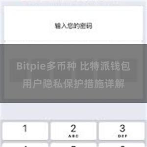 Bitpie多币种 比特派钱包用户隐私保护措施详解