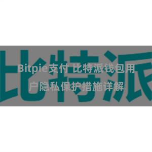 Bitpie支付 比特派钱包用户隐私保护措施详解