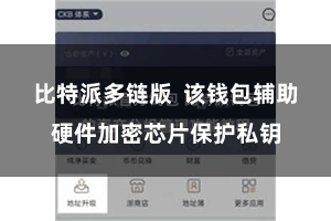 比特派多链版  该钱包辅助硬件加密芯片保护私钥