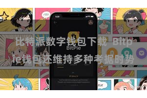 比特派数字钱包下载  Bitpie钱包还维持多种考据时势