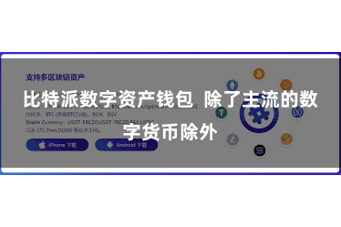 比特派数字资产钱包  除了主流的数字货币除外